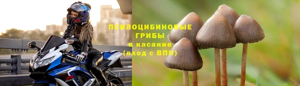 МДПВ Алексин