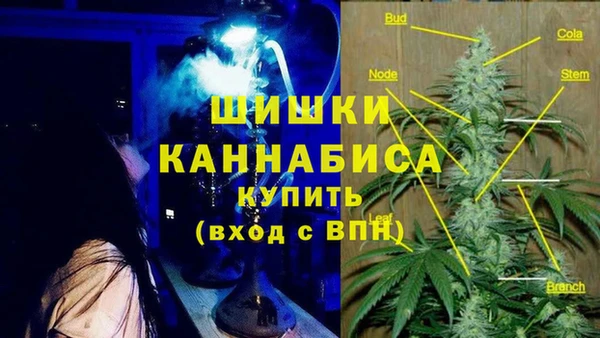 МДПВ Алексин
