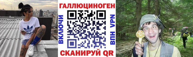Псилоцибиновые грибы Magic Shrooms  купить  цена  Комсомольск 
